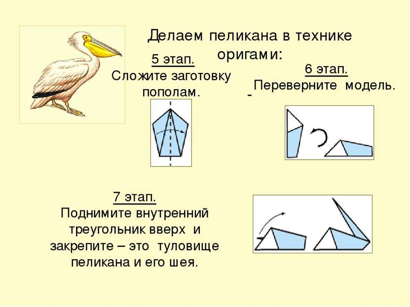 Делаем пеликана в технике оригами: 5 этап. Сложите заготовку пополам. 6 этап....