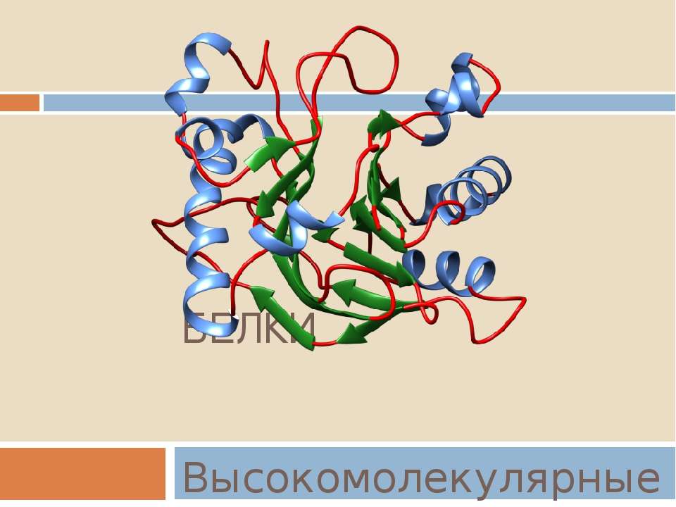 Белок высокомолекулярное соединение. Белки высокомолекулярные вещества структура. Высокомолекулярные белки схема. Низкомолекулярные и высокомолекулярные белки. Белки состоят из Альфа и.