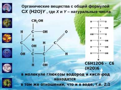 Органические вещества с общей формулой CX (H2O)Y , где X и Y – натуральные чи...
