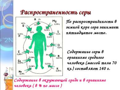 Распространенность серы Содержание в окружающей среде и в организме человека ...