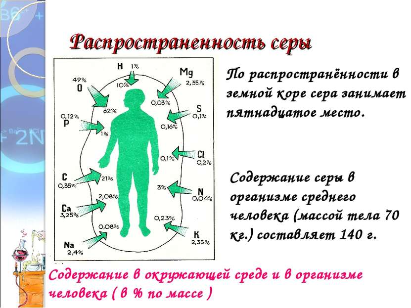 Распространенность серы Содержание в окружающей среде и в организме человека ...