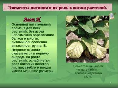 * Элементы питания и их роль в жизни растений. Азот N Основной питательный эл...