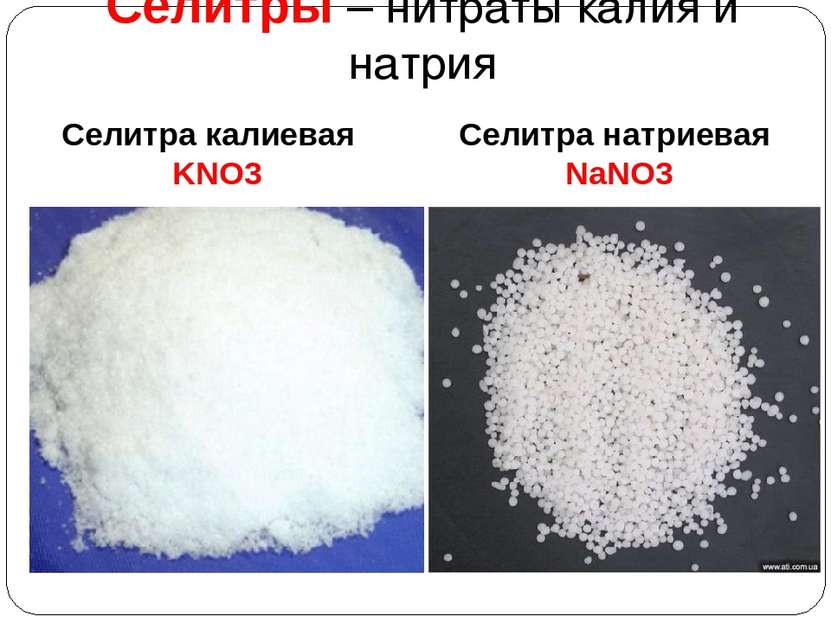 Cелитры – нитраты калия и натрия Селитра калиевая KNO3 Селитра натриевая NaNO3