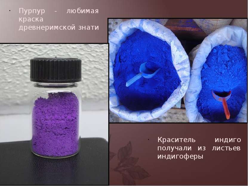 Пурпур - любимая краска древнеримской знати Краситель индиго получали из лист...