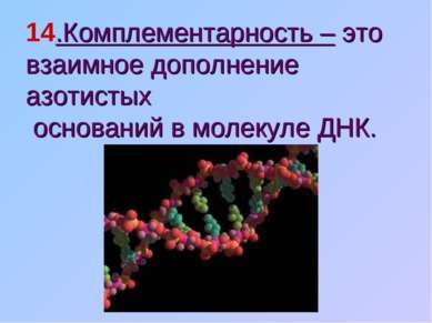 14.Комплементарность – это взаимное дополнение азотистых оснований в молекуле...