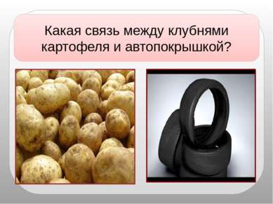 Какая связь между клубнями картофеля и автопокрышкой?