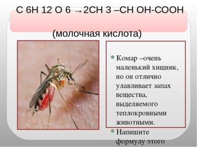С 6Н 12 О 6 →2СН 3 –СН ОН-СООН (молочная кислота) Комар –очень маленький хищн...