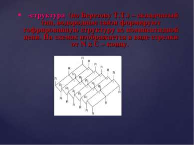 β-структура (по Березову Т.Т.) – складчатый тип, водородные связи формируют г...