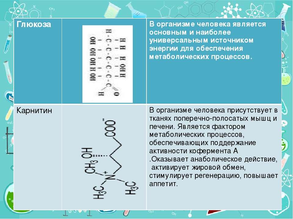 В живом организме источником энергии является. Универсальным источником энергии является. Источники карнитина в организме человека. Состав Энергетика презентация. Карнитин в организме человека.