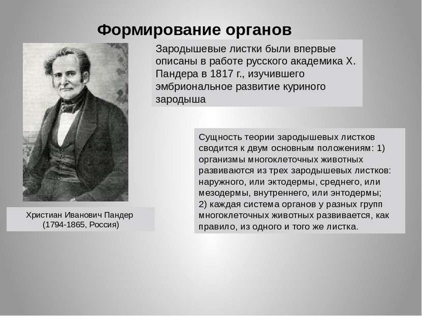 Формирование органов Христиан Иванович Пандер (1794-1865, Россия) Сущность те...