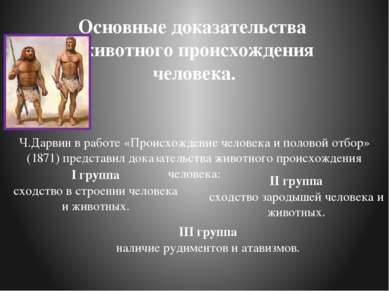 Основные доказательства животного происхождения человека. Ч.Дарвин в работе «...