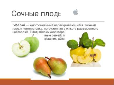  Яблоко — многосемянный нераскрывающийся ложный плод многолистовка, погруженн...