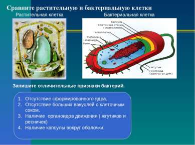 Сравните растительную и бактериальную клетки Растительная клетка Бактериальна...