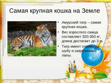 Самая крупная кошка на Земле Амурский тигр – самая крупная кошка. Вес взросло...