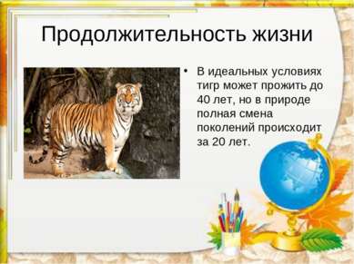 Продолжительность жизни В идеальных условиях тигр может прожить до 40 лет, но...
