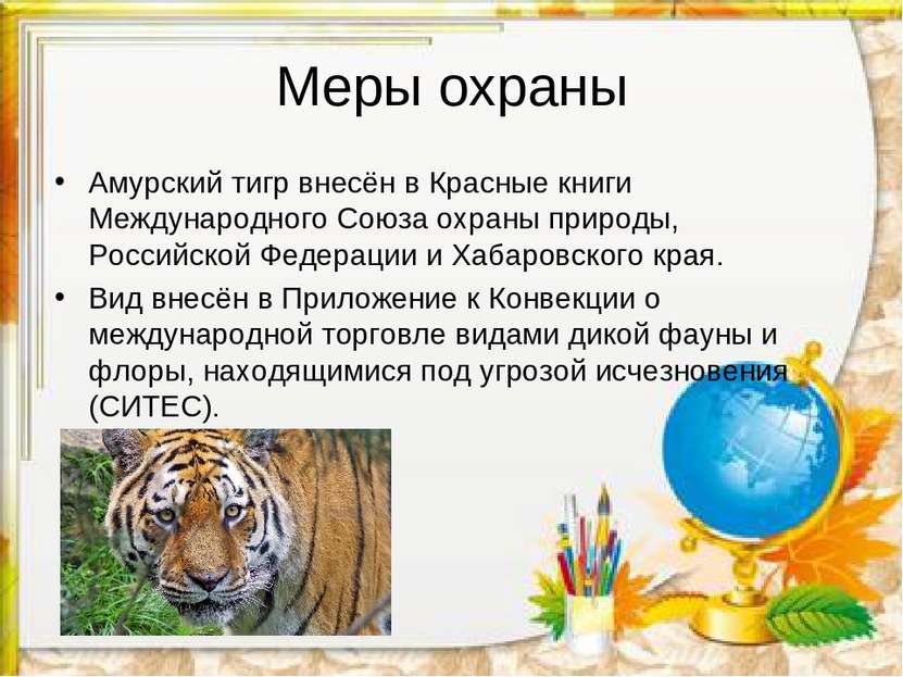 Меры охраны Амурский тигр внесён в Красные книги Международного Союза охраны ...
