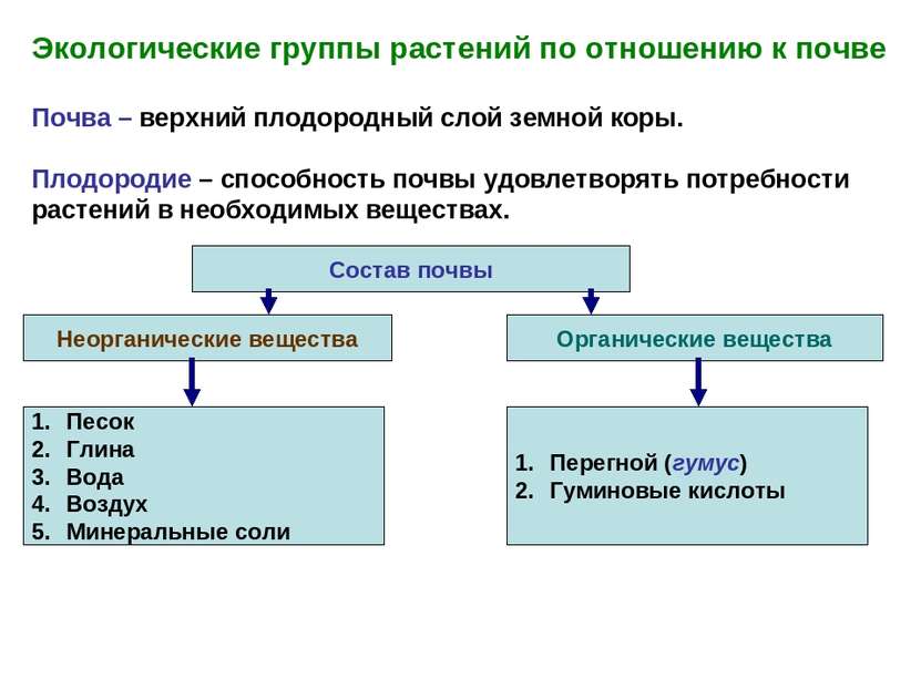 Экологические группы растений по отношению к почве Почва – верхний плодородны...