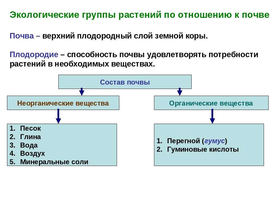 Экологические группы растений схема