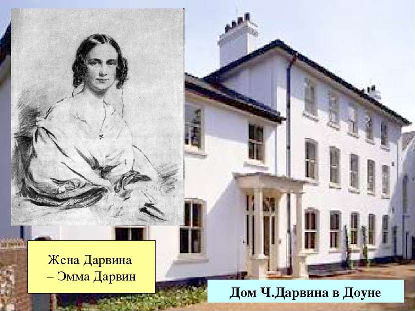 Дом Ч.Дарвина в Доуне Жена Дарвина – Эмма Дарвин