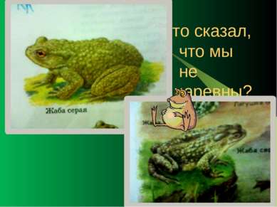 Лягушки зелёные. Прудовая лягушка. Вырастает в длину до 8 см. Лето проводит в...