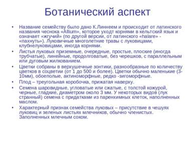 Ботанический аспект Название семейству было дано К.Линнеем и происходит от ла...