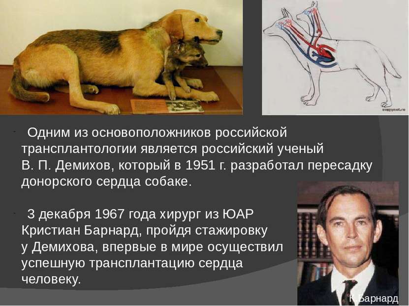 Одним из основоположников российской трансплантологии является российский уче...
