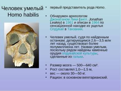 Человек умелый Homo habilis первый представитель рода Homo. Обнаружен археоло...