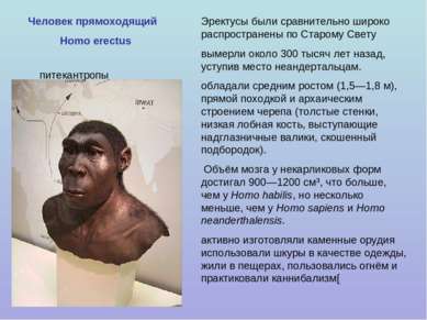 Человек прямоходящий Homo erectus Эректусы были сравнительно широко распростр...