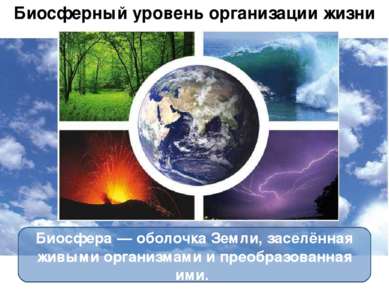 Биосферный уровень организации жизни Биосфера — оболочка Земли, заселённая жи...