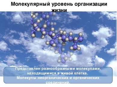 Молекулярный уровень организации жизни Представлен разнообразными молекулами,...