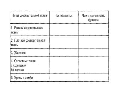 4. В эпителии отсутствуют кровеносные сосуды. 5. Эндотелий кровеносных сосудо...