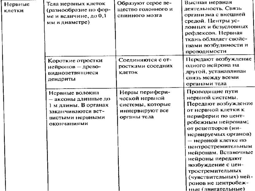 Запишите номера суждений, против верных поставьте +, против ошибочных —: Эпит...