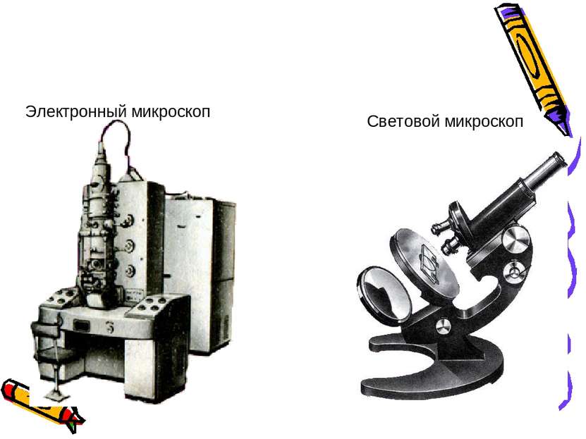 Электронный микроскоп Световой микроскоп