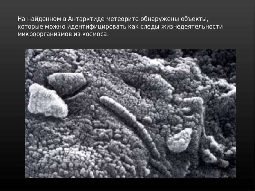На найденном в Антарктиде метеорите обнаружены объекты, которые можно идентиф...