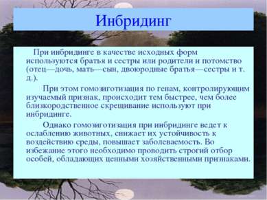 Инбридинг При инбридинге в качестве исходных форм используются братья и сестр...