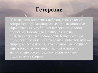 Гетерозис У домашних животных наблюдается явление гетерозиса: при межпородных...