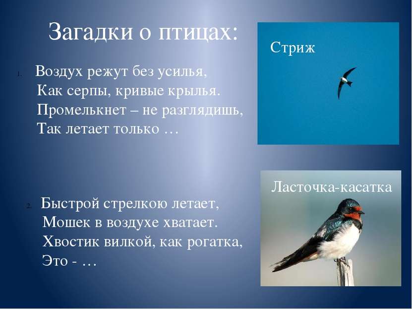 Загадки о птицах: Воздух режут без усилья, Как серпы, кривые крылья. Промельк...