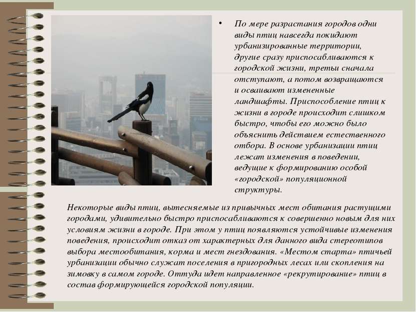 По мере разрастания городов одни виды птиц навсегда покидают урбанизированные...