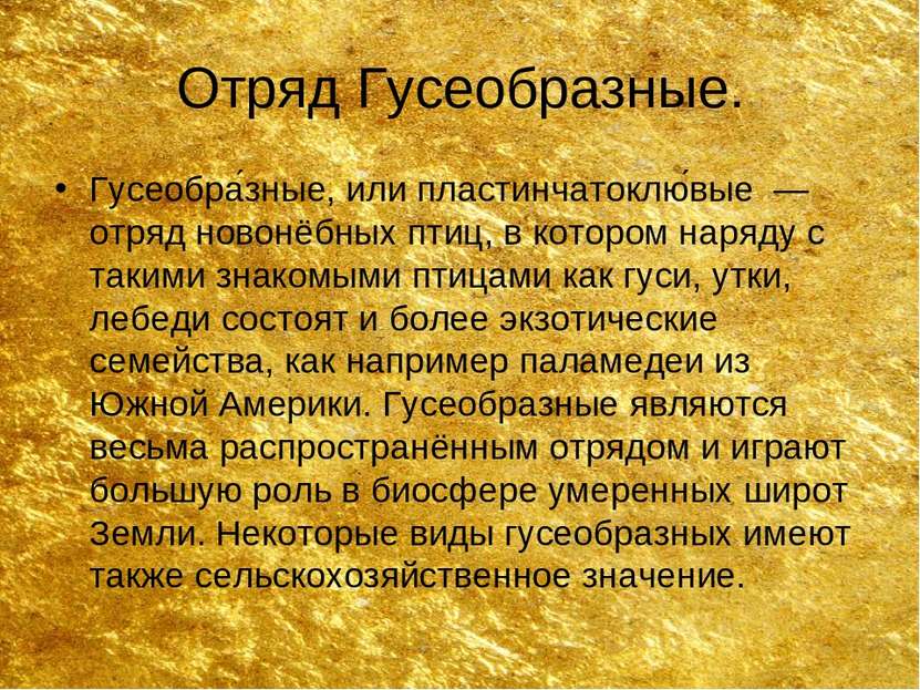 Отряд Гусеобразные. Гусеобра зные, или пластинчатоклю вые  — отряд новонёбных...