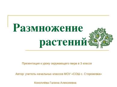 Размножение растений Презентация к уроку окружающего мира в 3 классе Автор: у...