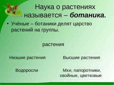 Наука о растениях называется – ботаника. Учёные – ботаники делят царство раст...