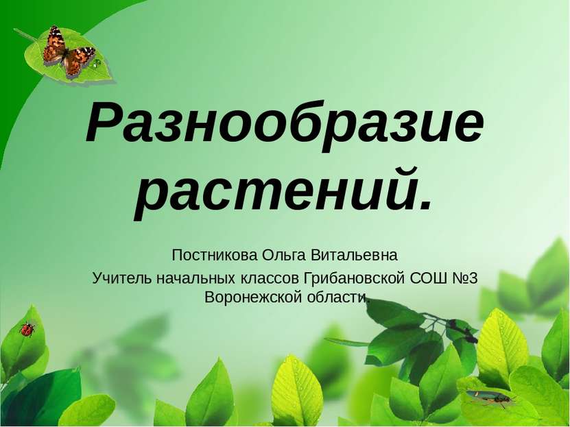 Разнообразие растений. Постникова Ольга Витальевна Учитель начальных классов ...