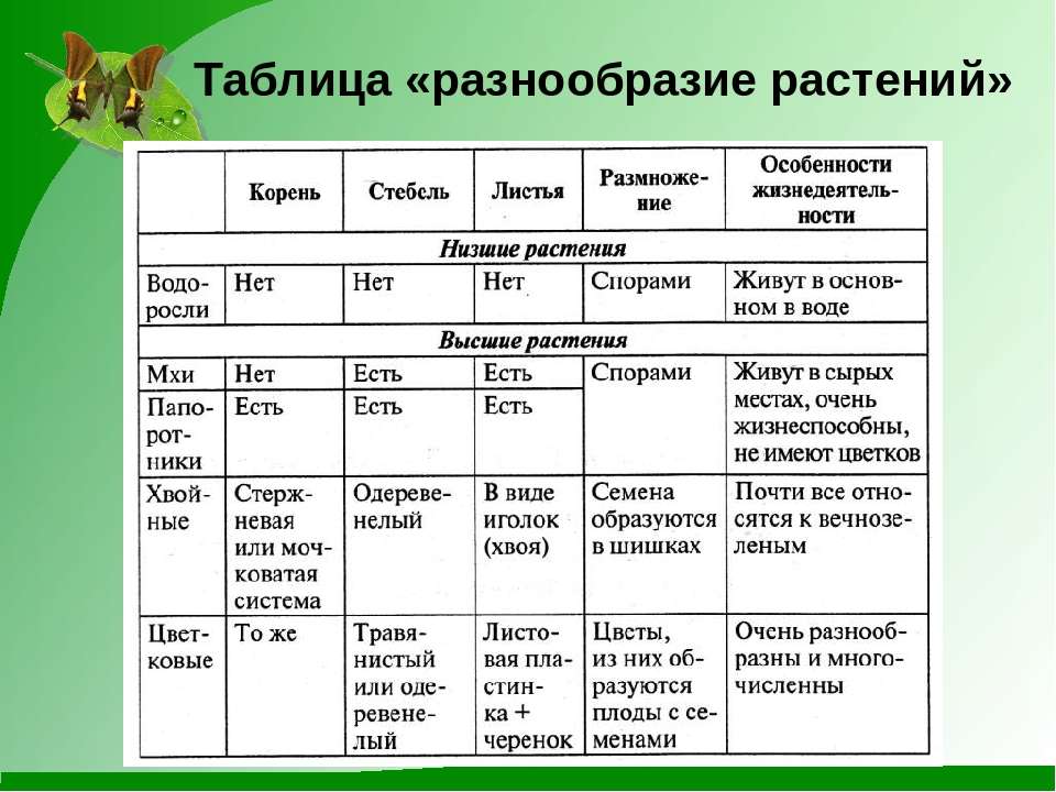 Заполните таблицу по предложенному образцу приведите по два три примера животных с различной