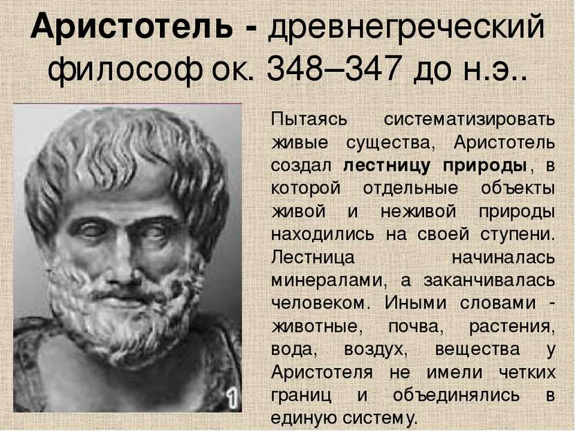 Аристотель - древнегреческий философ ок. 348–347 до н.э.. Пытаясь систематизи...
