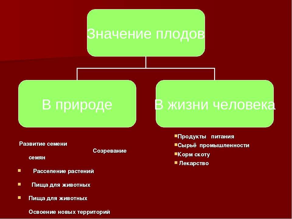 Разнообразие плодов и их роль в природе. Значение плодов в природе. Значение плодов в природе и в жизни человека. Значение плодов и семян. Значение семян в природе.