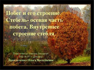 Побег и его строение. Стебель- осевая часть побега. Внутреннее строение стебл...