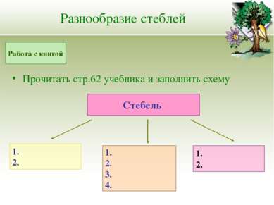 Разнообразие стеблей Прочитать стр.62 учебника и заполнить схему Работа с кни...