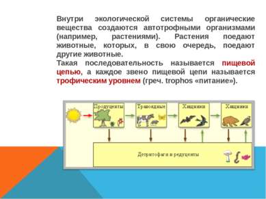 Внутри экологической системы органические вещества создаются автотрофными орг...