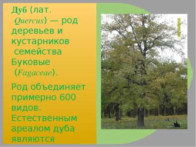 Дуб (лат. Quercus) — род деревьев и кустарников семейства Буковые (Fagaceae)....