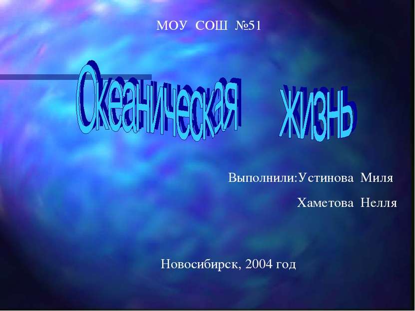 МОУ СОШ №51 Выполнили:Устинова Миля Хаметова Нелля Новосибирск, 2004 год